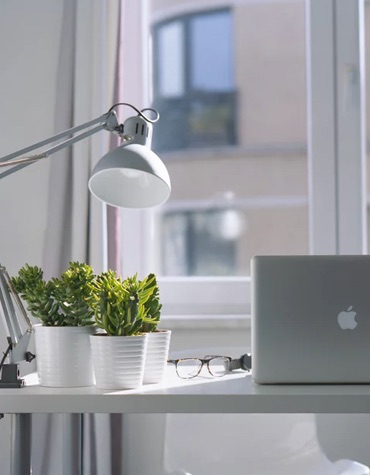 Desk plants, Lamp, and MacBook on a white desk by the window