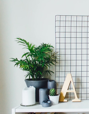 Desk plant and candles on a white desk