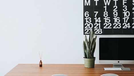 An Apple monitor and a smallplant 